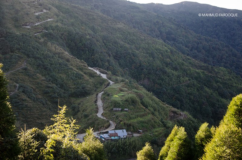 Gairibas